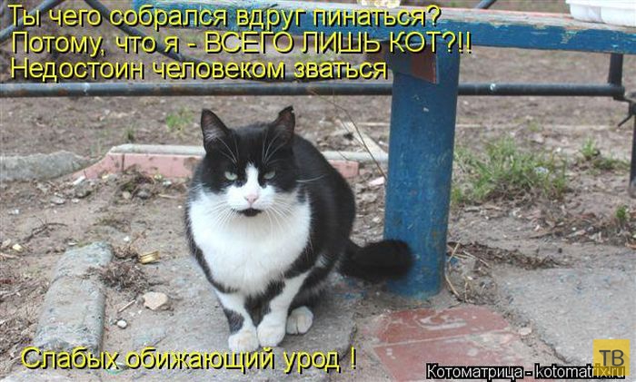 ������ ����������� ������, ����� 12 (50 ����)