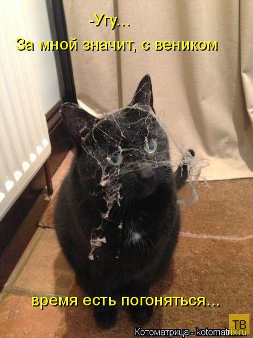 ������ ����������� ������, ����� 12 (50 ����)