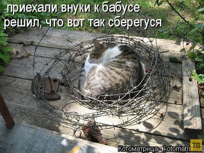 ������ ����������� ������, ����� 12 (50 ����)