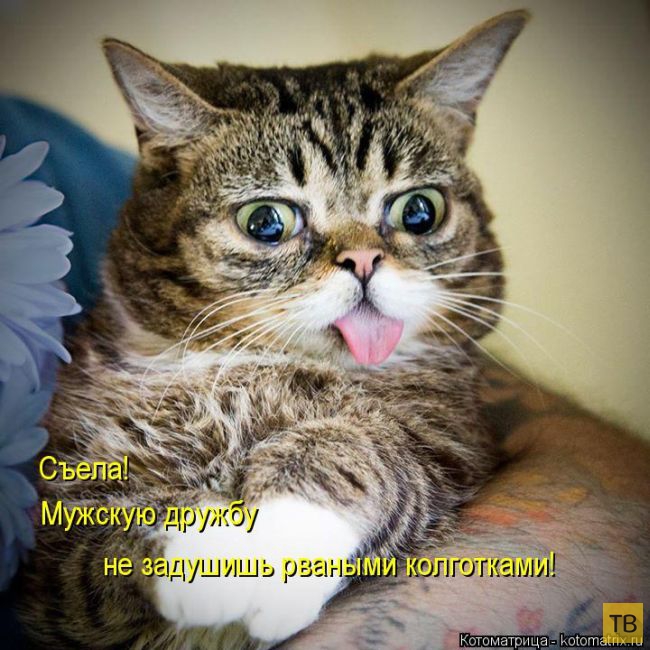 ������ ����������� ������, ����� 12 (50 ����)