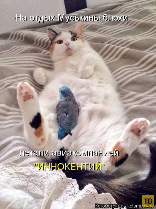 ������ ����������� ������, ����� 12 (50 ����)