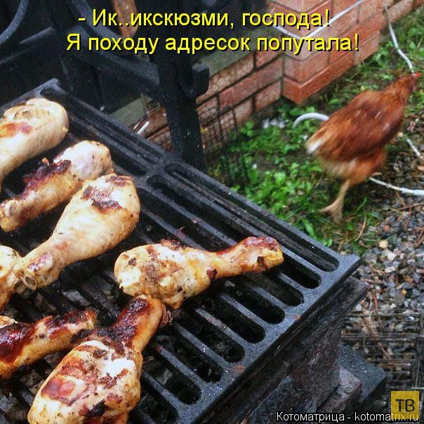 ������ ����������� ������, ����� 12 (50 ����)