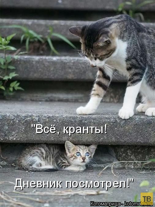 ������ ����������� ������, ����� 12 (50 ����)