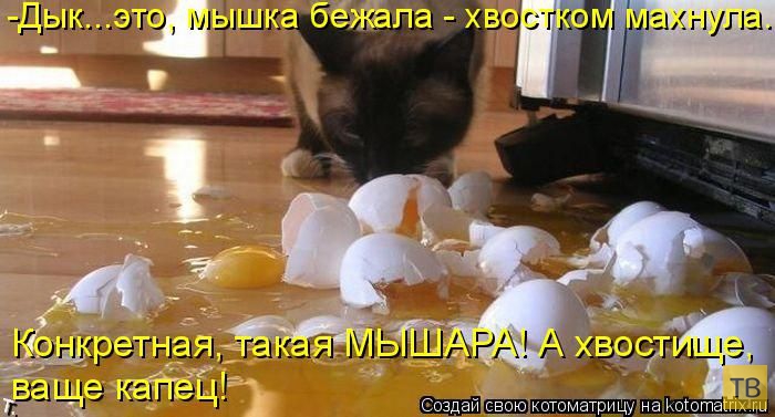 ������ ����������� ������, ����� 12 (50 ����)