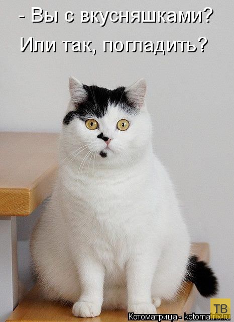 ������ ����������� ������, ����� 12 (50 ����)