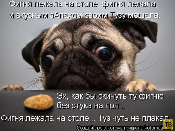 ������ ����������� ������, ����� 12 (50 ����)