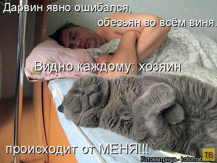 ������ ����������� ������, ����� 12 (50 ����)