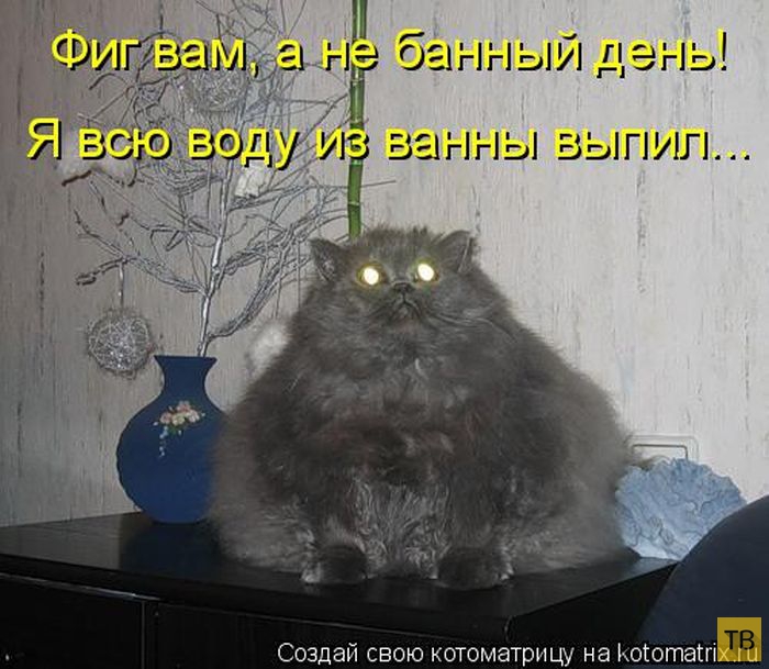 ������ ����������� ������, ����� 12 (50 ����)