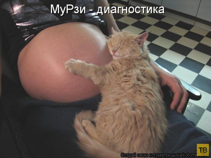 ������ ����������� ������, ����� 12 (50 ����)