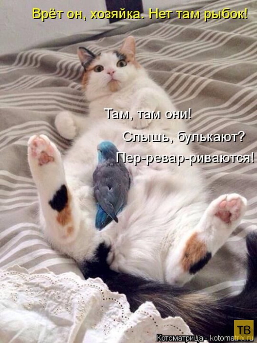 ������ ����������� ������, ����� 12 (50 ����)