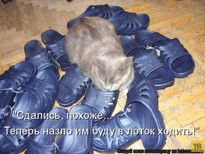 ������ ����������� ������, ����� 12 (50 ����)