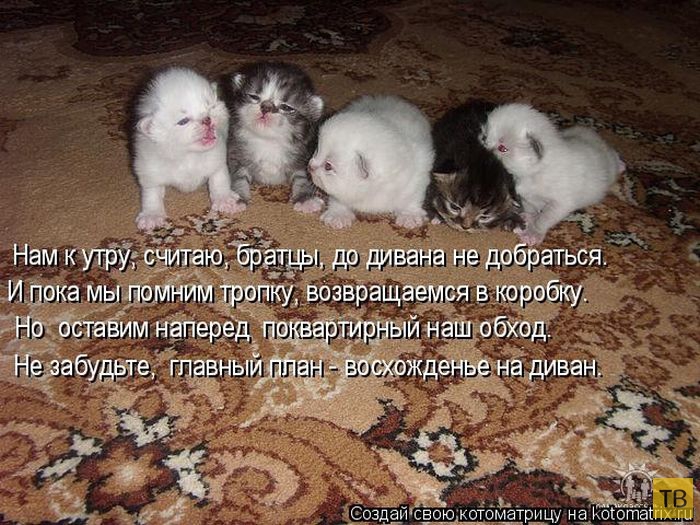 ������ ����������� ������, ����� 12 (50 ����)