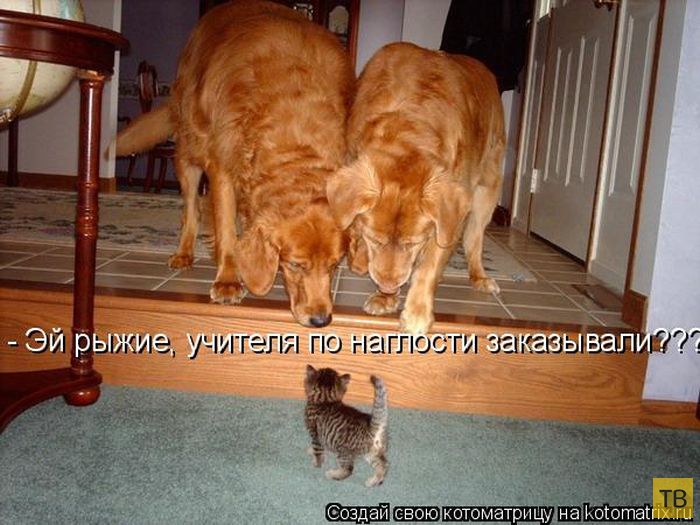 ������ ����������� ������, ����� 12 (50 ����)