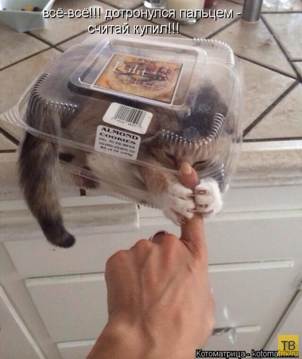 ������ ����������� ������, ����� 12 (50 ����)