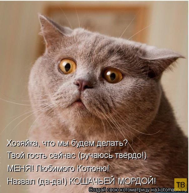 ������ ����������� ������, ����� 12 (50 ����)