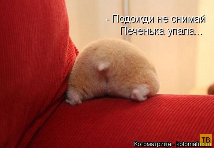 ������ ����������� ������, ����� 12 (50 ����)