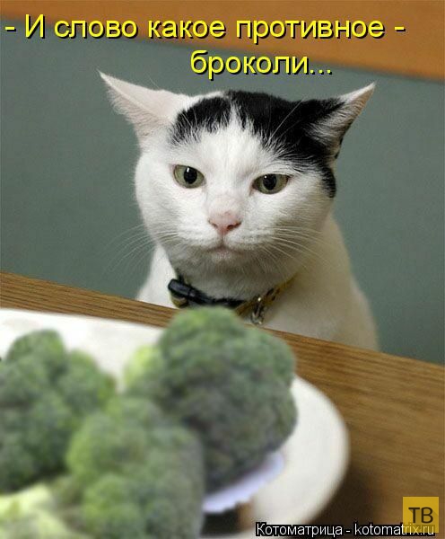 ������ ����������� ������, ����� 12 (50 ����)