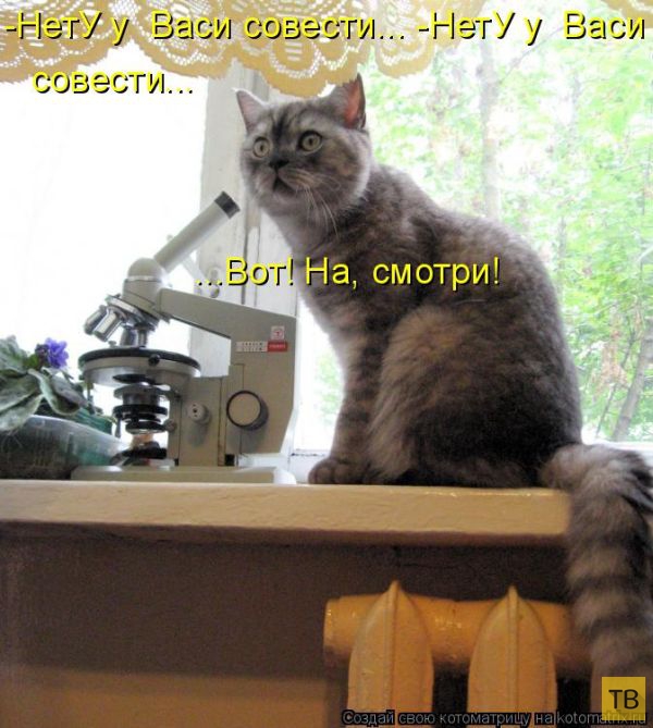 ������ ����������� ������, ����� 12 (50 ����)