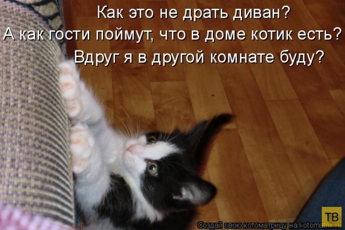 ������ ����������� ������, ����� 12 (50 ����)