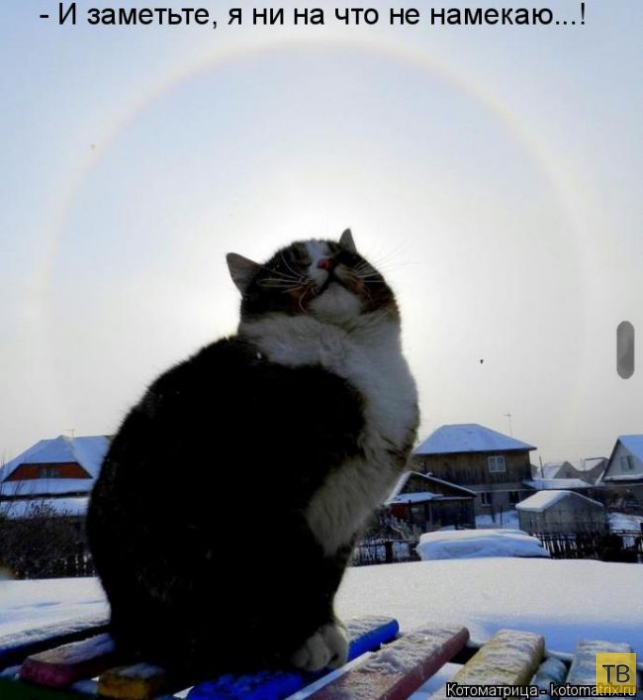 ������ ����������� ������, ����� 12 (50 ����)