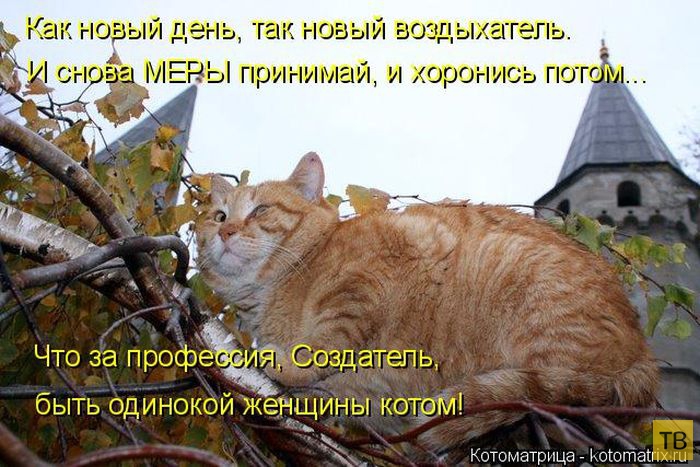 ������ ����������� ������, ����� 12 (50 ����)