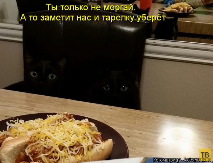 ������ ����������� ������, ����� 12 (50 ����)