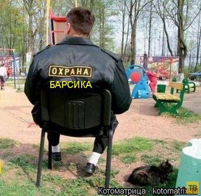 ������ ����������� ������, ����� 12 (50 ����)