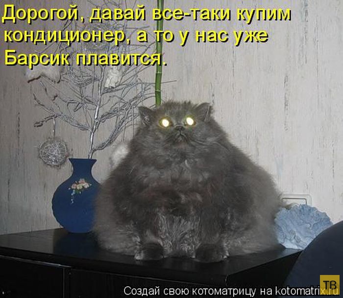 ������ ����������� ������, ����� 12 (50 ����)