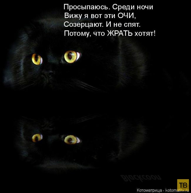 ������ ����������� ������, ����� 12 (50 ����)