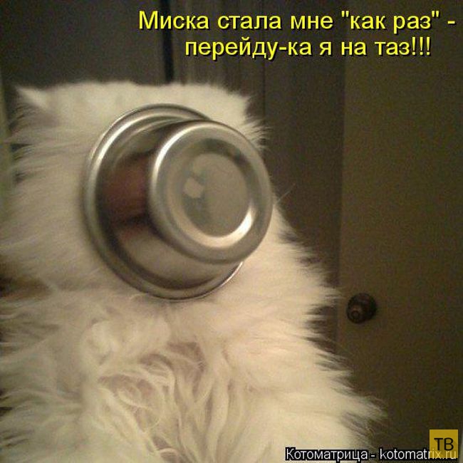 ������ ����������� ������, ����� 12 (50 ����)