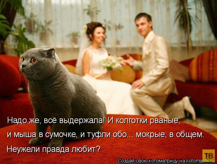 ������ ����������� ������, ����� 12 (50 ����)