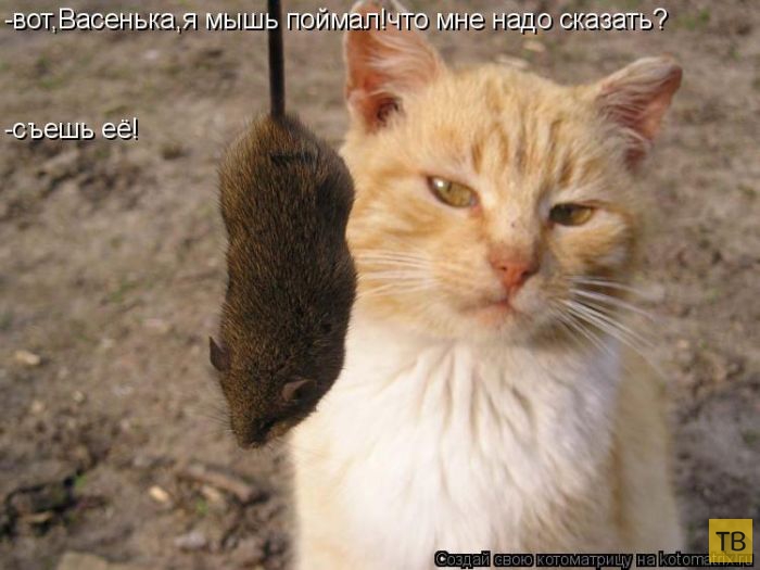 ������ ����������� ������, ����� 12 (50 ����)