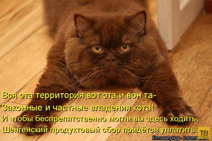 ������ ����������� ������, ����� 12 (50 ����)