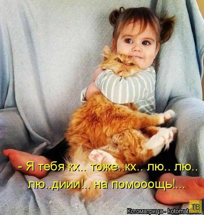 ������ ����������� ������, ����� 12 (50 ����)