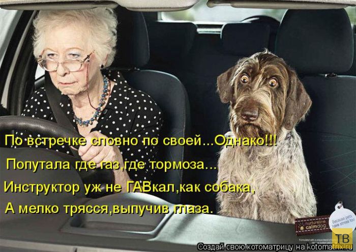 ������ ����������� ������, ����� 12 (50 ����)