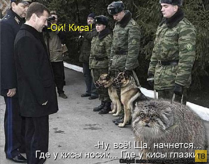 ������ ����������� ������, ����� 12 (50 ����)