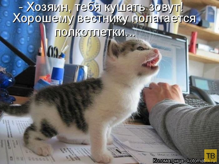 ������ ����������� ������, ����� 12 (50 ����)