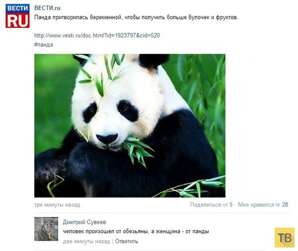 ���������� ����������� �� ���������� �����, ����� 206 (24 ����)