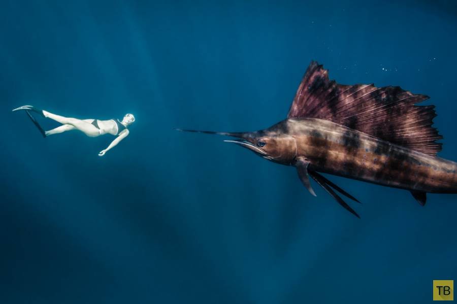 ������ Roberta Mancino ������� � �������� ������� � ������� ������ (20 ����)