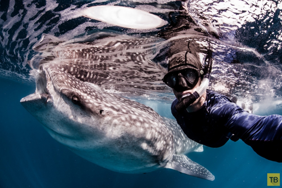 ������ Roberta Mancino ������� � �������� ������� � ������� ������ (20 ����)