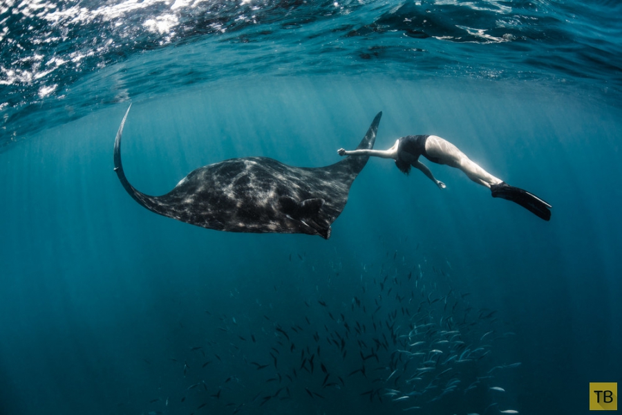 ������ Roberta Mancino ������� � �������� ������� � ������� ������ (20 ����)