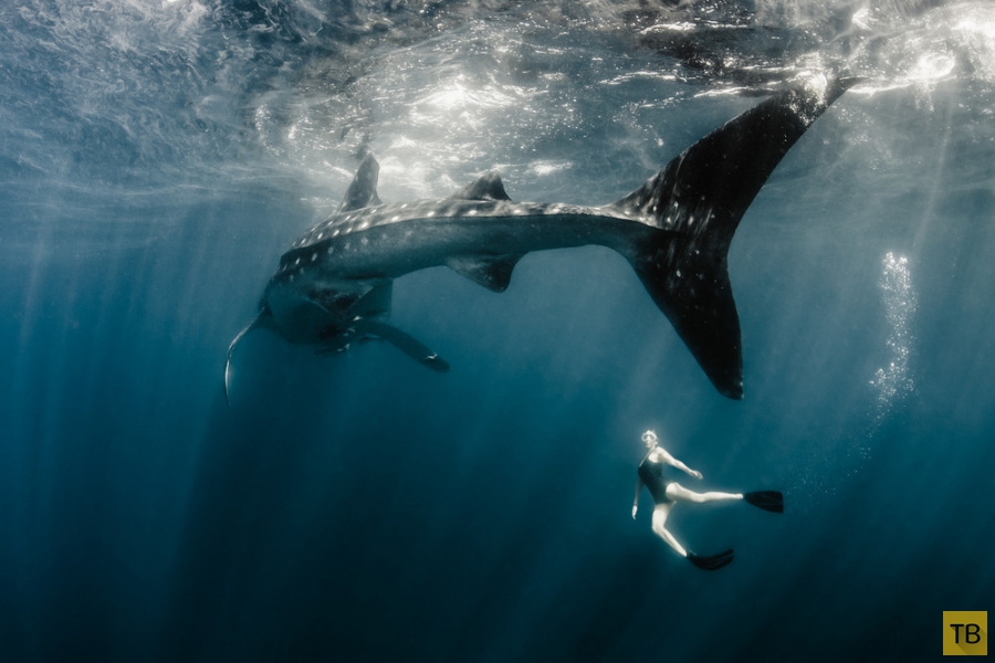 ������ Roberta Mancino ������� � �������� ������� � ������� ������ (20 ����)