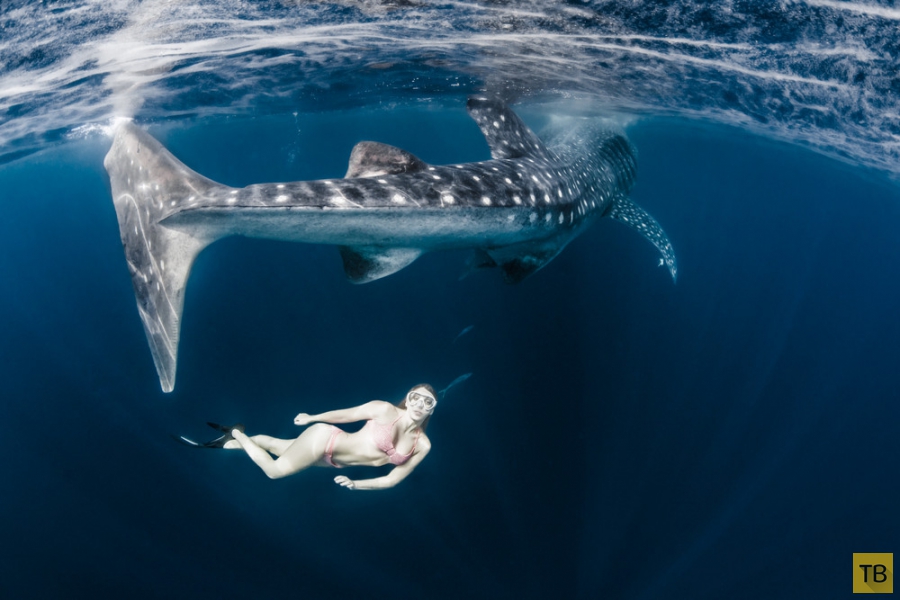 ������ Roberta Mancino ������� � �������� ������� � ������� ������ (20 ����)