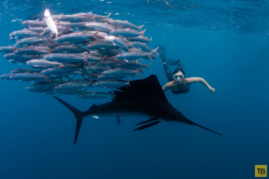 ������ Roberta Mancino ������� � �������� ������� � ������� ������ (20 ����)