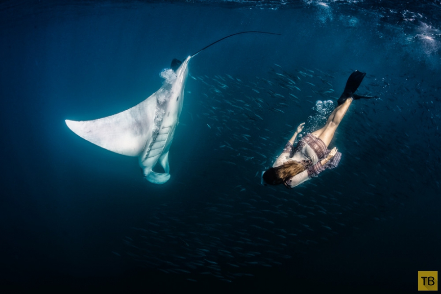 ������ Roberta Mancino ������� � �������� ������� � ������� ������ (20 ����)