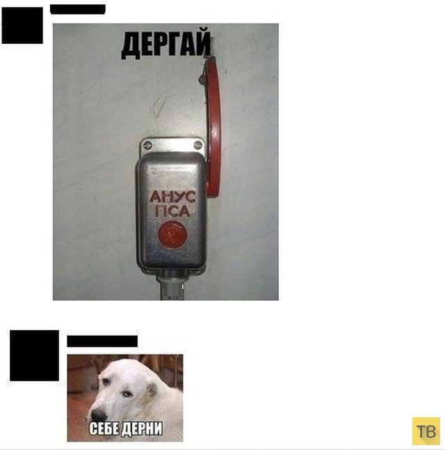 ���������� ����������� �� ���������� �����, ����� 207 (25 ����)