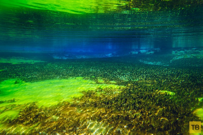 Новозеландское Голубое озеро - самое прозрачное в мире (6 фото)