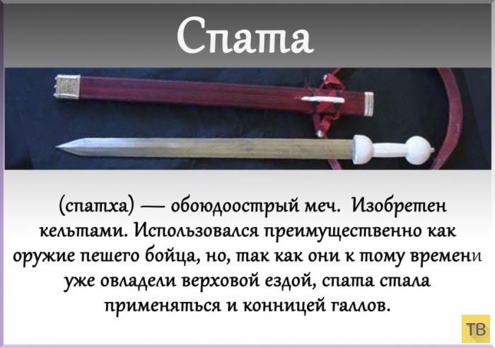 ��� 24: ����� ��������� ���� (24 ����)