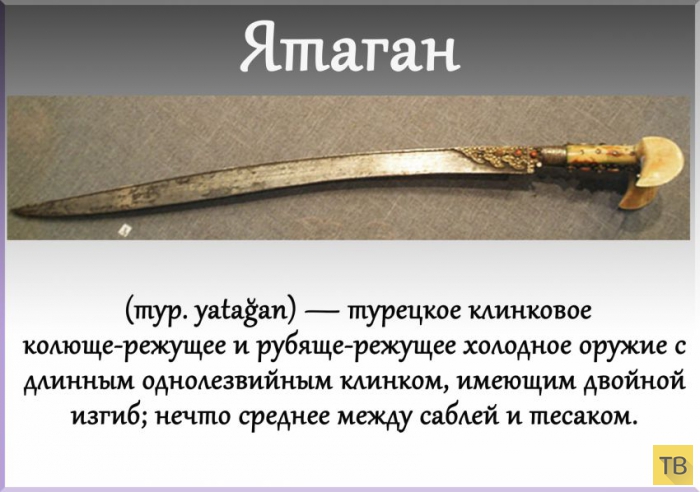 ��� 24: ����� ��������� ���� (24 ����)