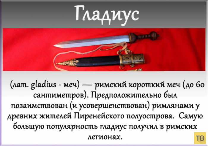 ��� 24: ����� ��������� ���� (24 ����)